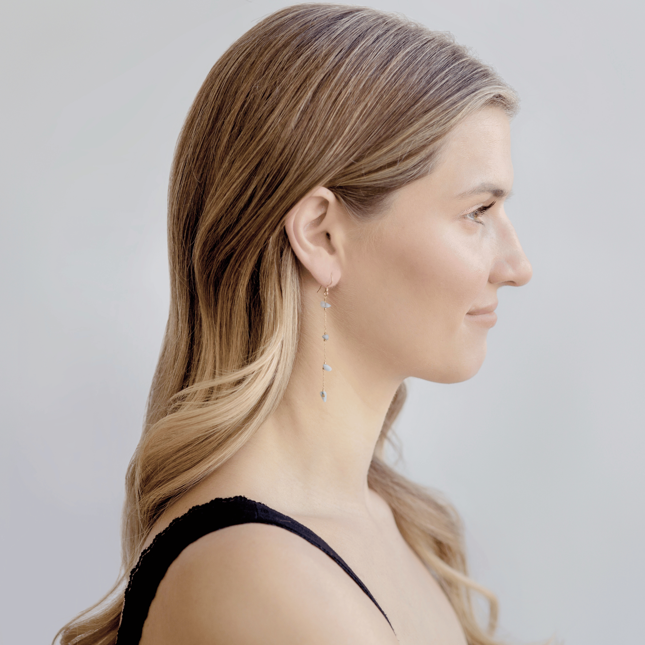 Lapiz Lazuli Gold Chain Earrings