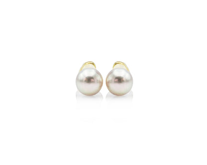 Fresh Water Pearl Stud Earrings